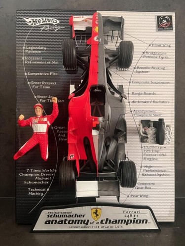 Michael schumacher anatomia - michael,