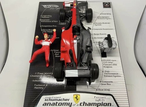 248 anatomy champion - anatomy,